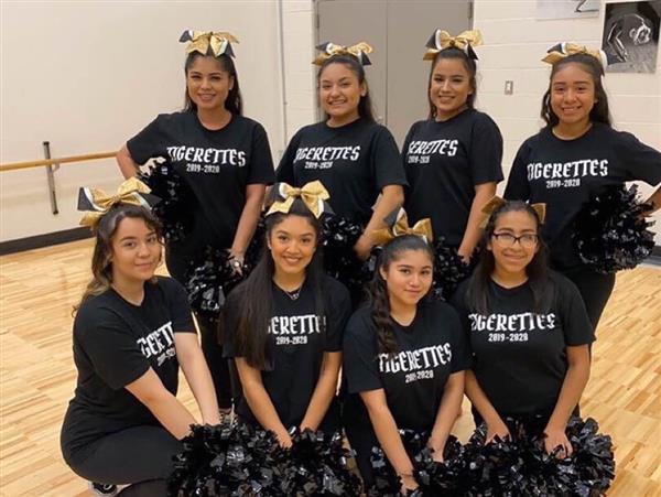 A photo showing the senior members of the 2019-2020 Tigerette Dance Team.